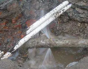 越秀水管维修费用是多少