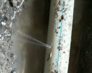 越秀卫生间测漏水多少钱