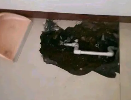 越秀卫生间测漏水多少钱